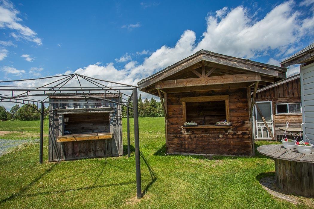 Photo 9 of 46 Collver Road, Huron Shores — HOMEH