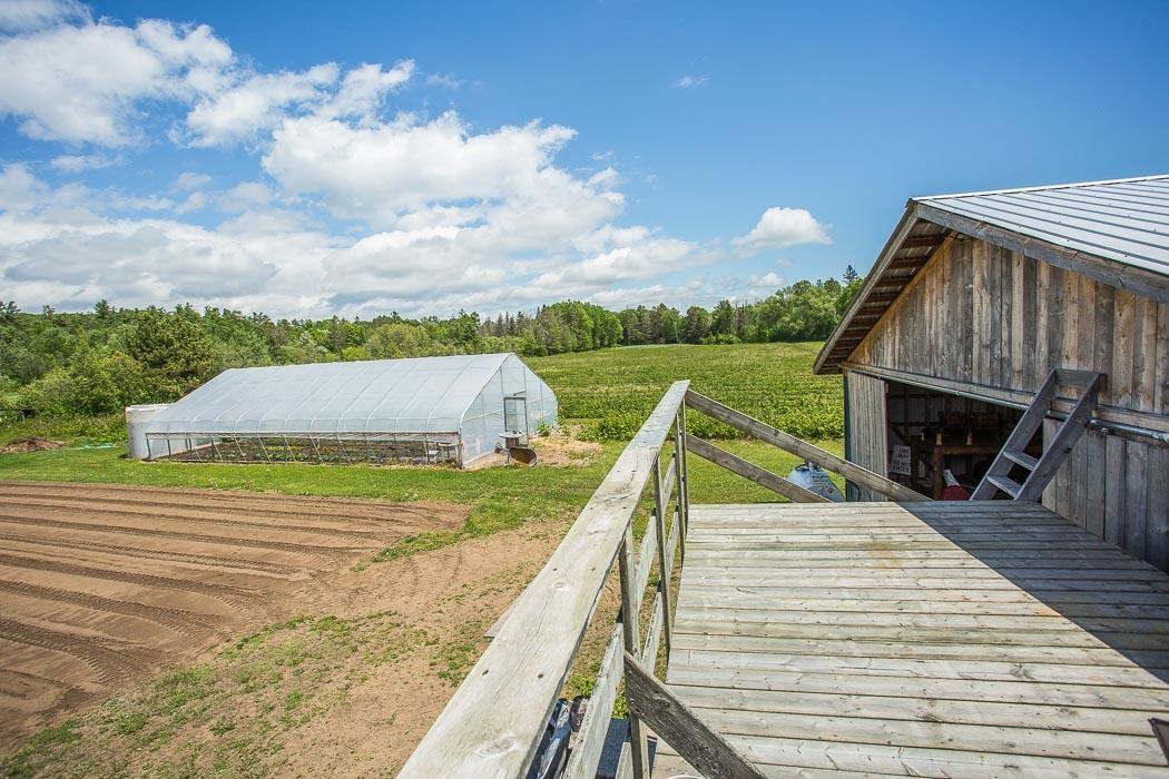 Photo 15 of 46 Collver Road, Huron Shores — HOMEH