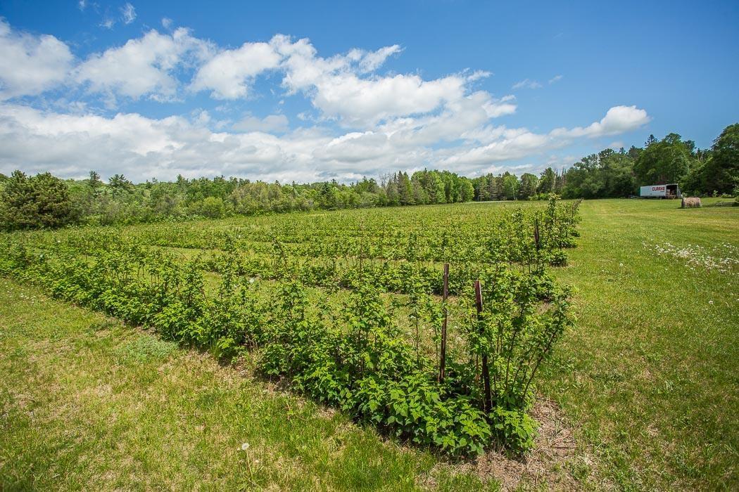 Photo 17 of 46 Collver Road, Huron Shores — HOMEH
