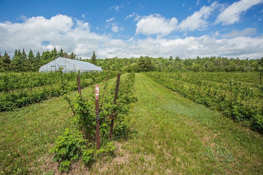 Photo 18 of 46 Collver Road, Huron Shores — HOMEH