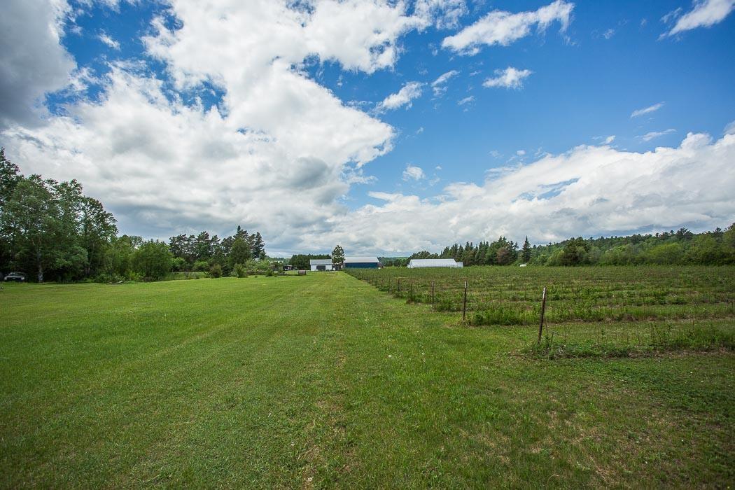 Photo 22 of 46 Collver Road, Huron Shores — HOMEH