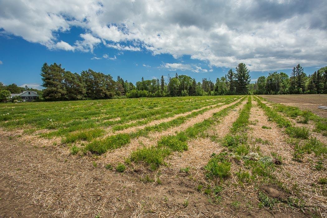 Photo 24 of 46 Collver Road, Huron Shores — HOMEH