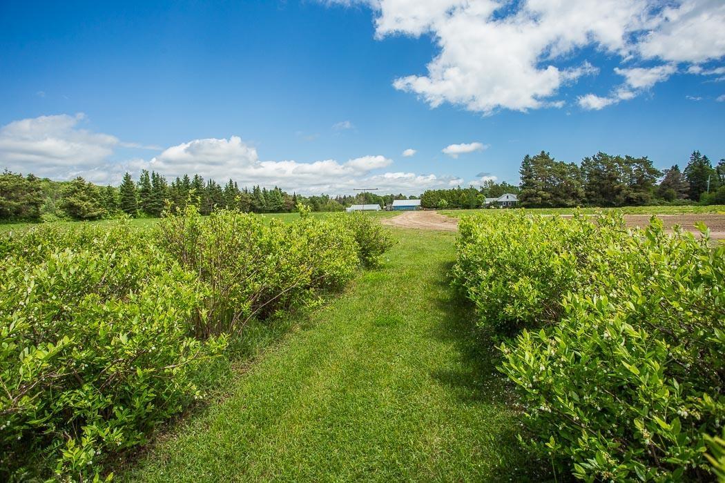 Photo 26 of 46 Collver Road, Huron Shores — HOMEH