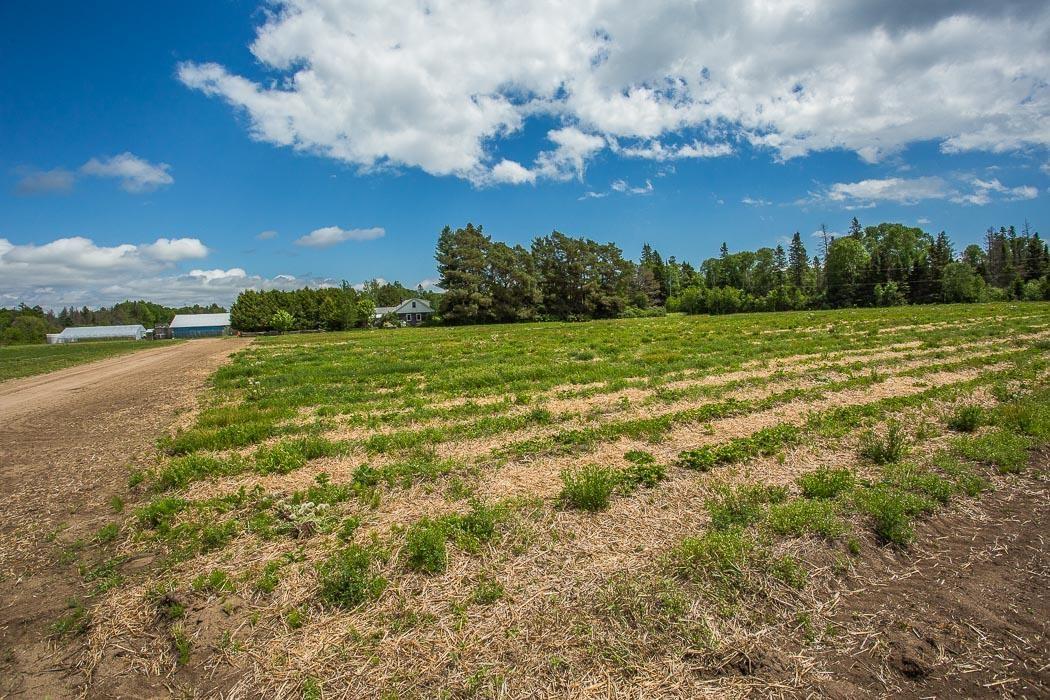 Photo 28 of 46 Collver Road, Huron Shores — HOMEH