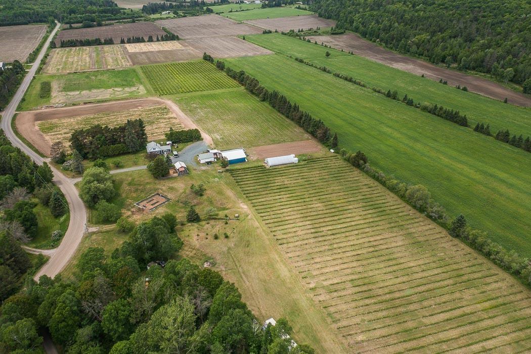 Photo 29 of 46 Collver Road, Huron Shores — HOMEH