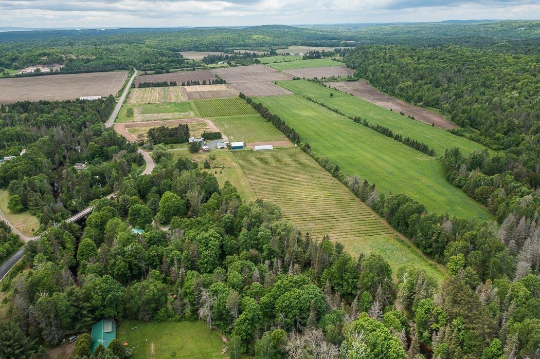 Photo 30 of 46 Collver Road, Huron Shores — HOMEH