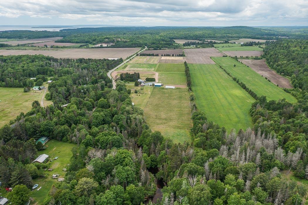 Photo 31 of 46 Collver Road, Huron Shores — HOMEH