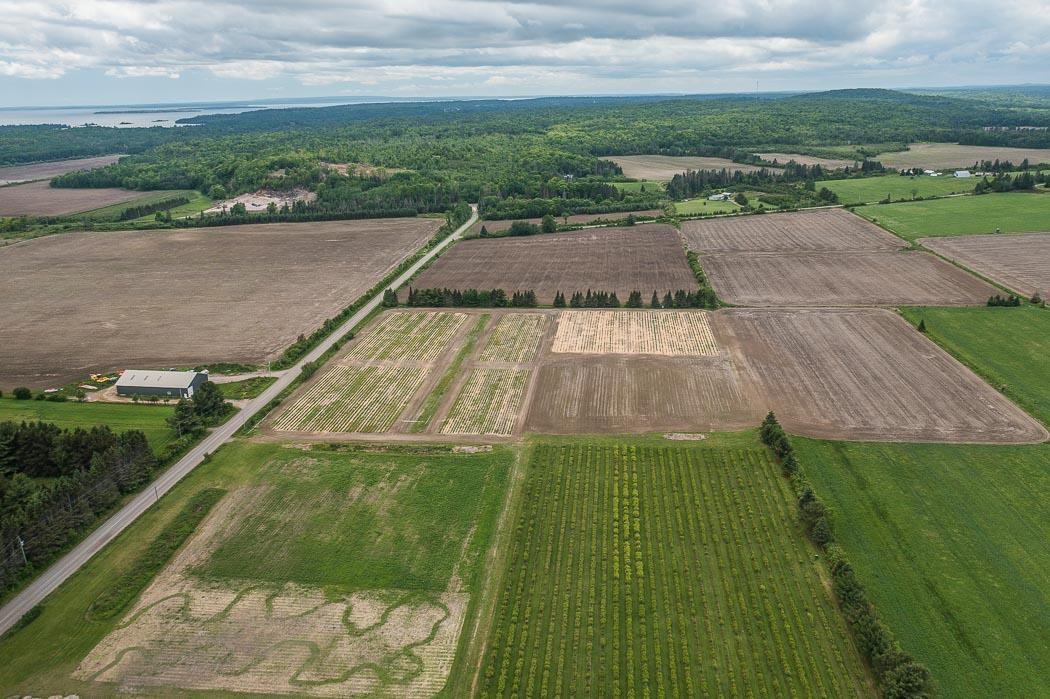 Photo 34 of 46 Collver Road, Huron Shores — HOMEH