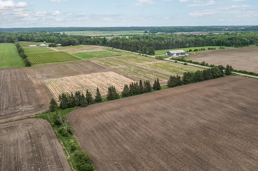 Photo 36 of 46 Collver Road, Huron Shores — HOMEH