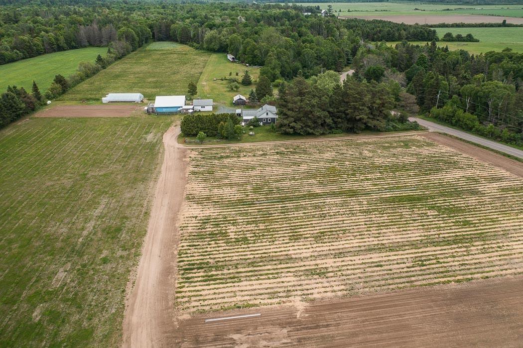 Photo 37 of 46 Collver Road, Huron Shores — HOMEH