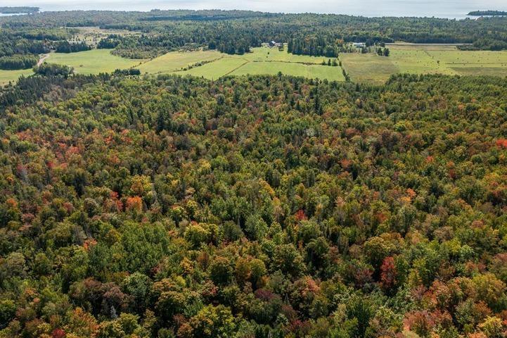 Photo 4 of 161 Concession Road 5, Plummer Additional — HOMEH