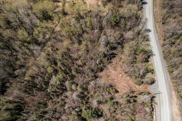 Photo 11 of 161 Concession Road 5, Plummer Additional — HOMEH