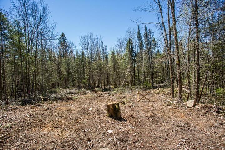 Photo 16 of 161 Concession Road 5, Plummer Additional — HOMEH