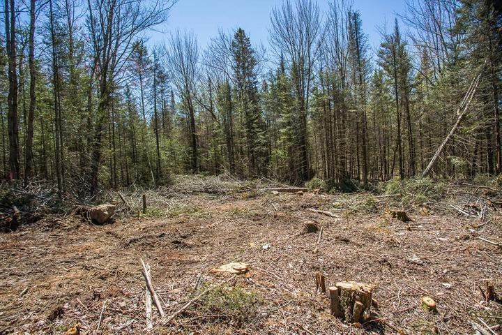 Photo 17 of 161 Concession Road 5, Plummer Additional — HOMEH