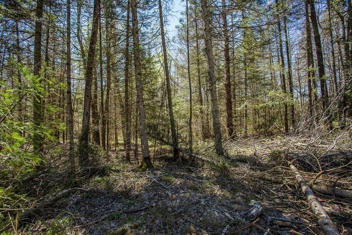 Photo 18 of 161 Concession Road 5, Plummer Additional — HOMEH