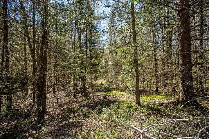 Photo 19 of 161 Concession Road 5, Plummer Additional — HOMEH