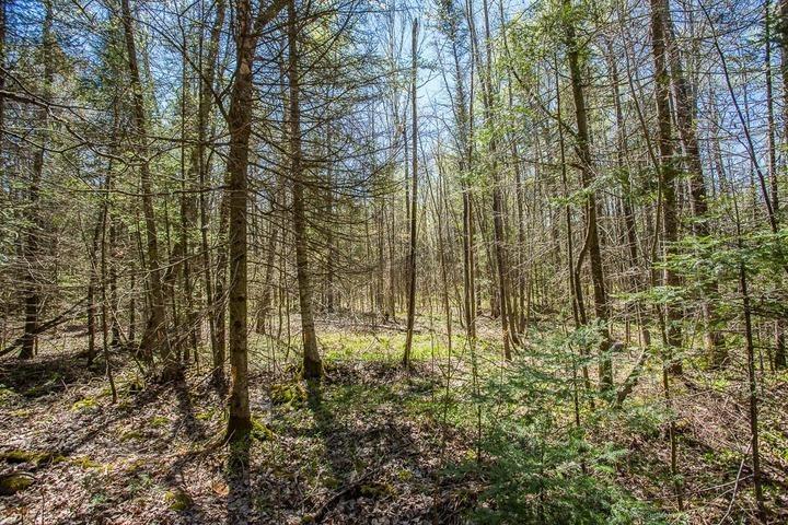 Photo 20 of 161 Concession Road 5, Plummer Additional — HOMEH