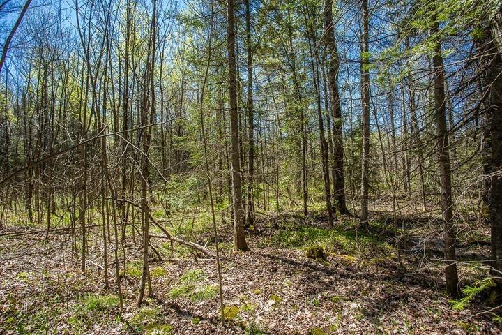 Photo 21 of 161 Concession Road 5, Plummer Additional — HOMEH