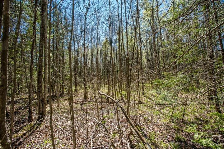 Photo 22 of 161 Concession Road 5, Plummer Additional — HOMEH