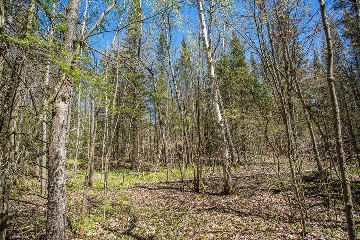 Photo 23 of 161 Concession Road 5, Plummer Additional — HOMEH
