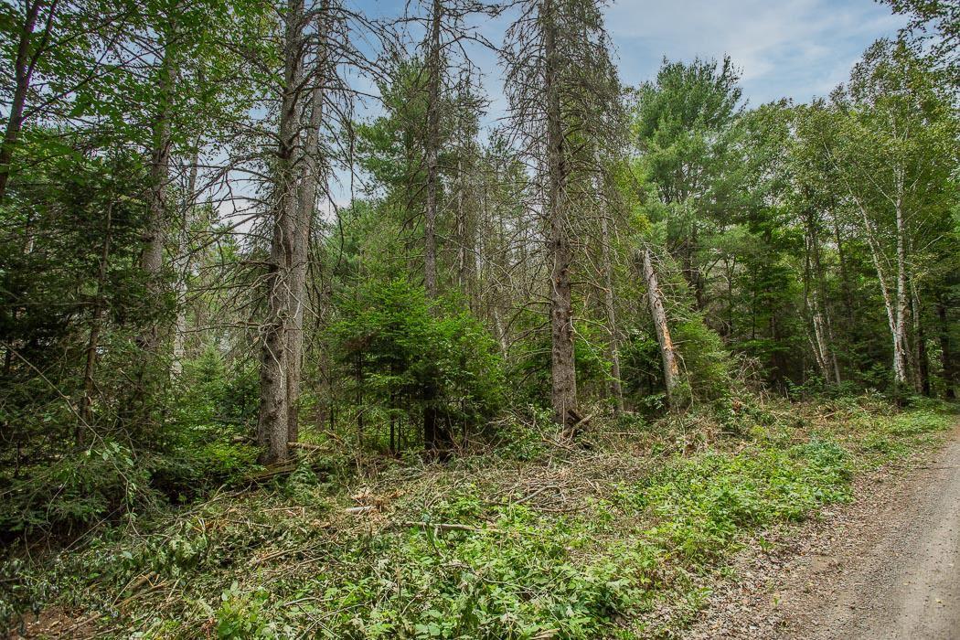 Photo 15 of Rock Lake Road, Plummer Additional — HOMEH