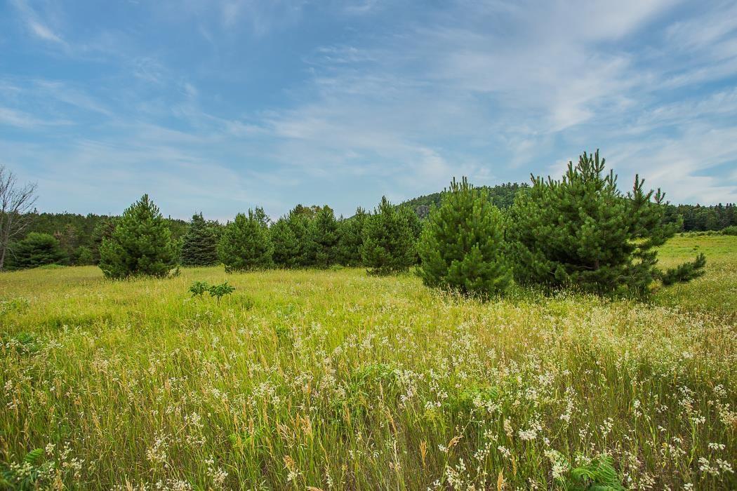 Photo 25 of Rock Lake Road, Plummer Additional — HOMEH
