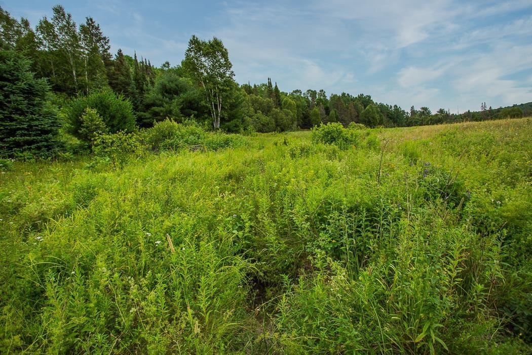 Photo 34 of Rock Lake Road, Plummer Additional — HOMEH