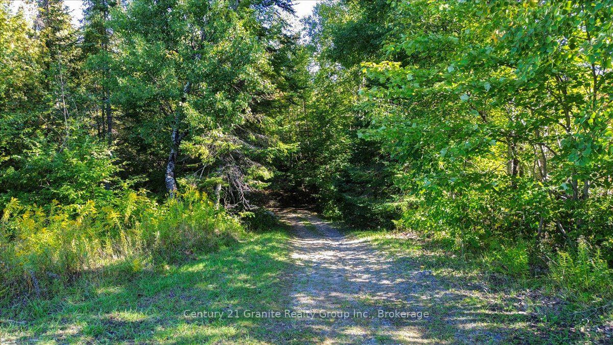 Photo 17 of 22934 62 Highway S, Limerick — HOMEH