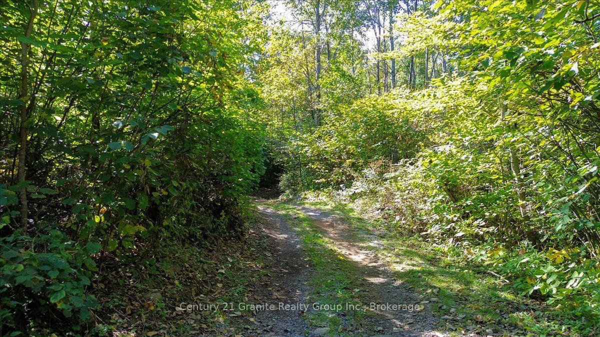 Photo 36 of 22934 62 Highway S, Limerick — HOMEH