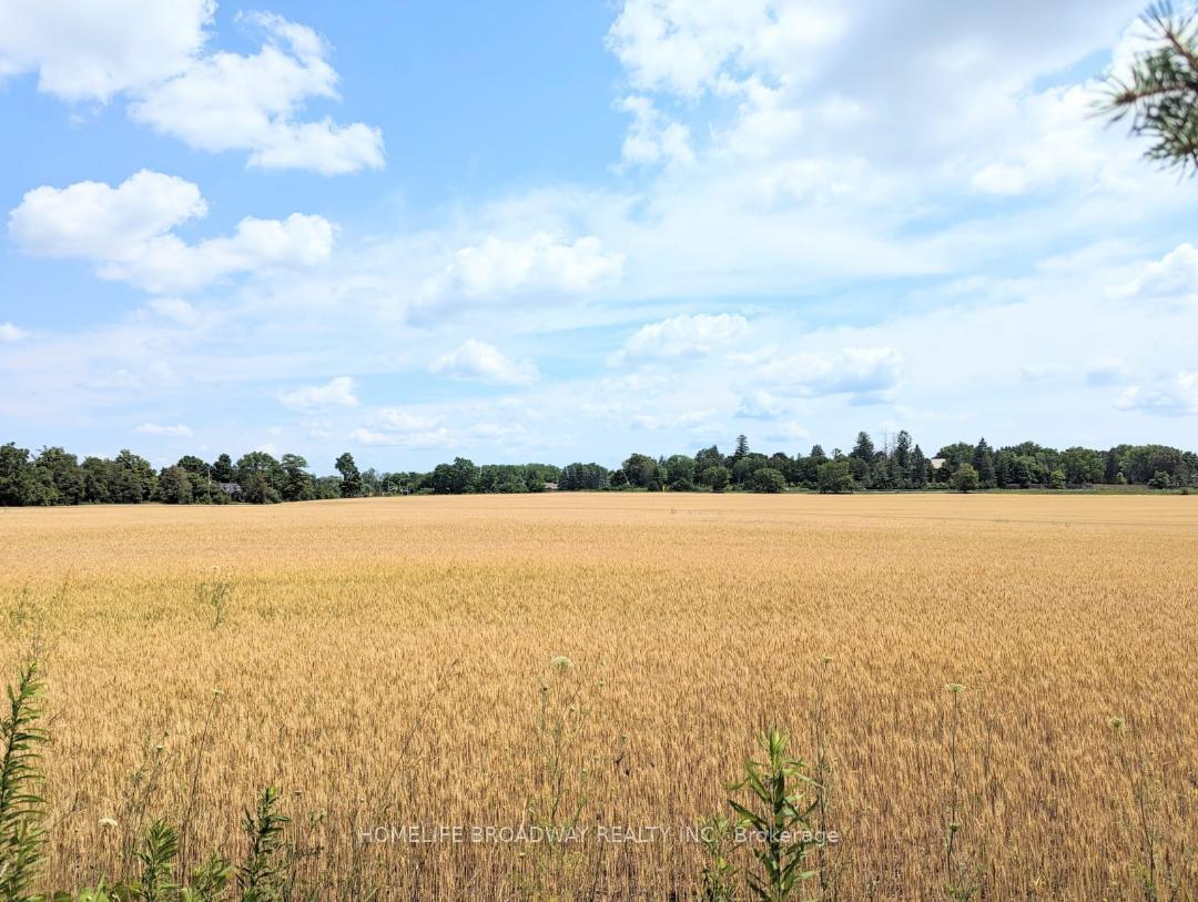 Photo 26 of 5875 19th Avenue, Markham, Rural Markham — HOMEH