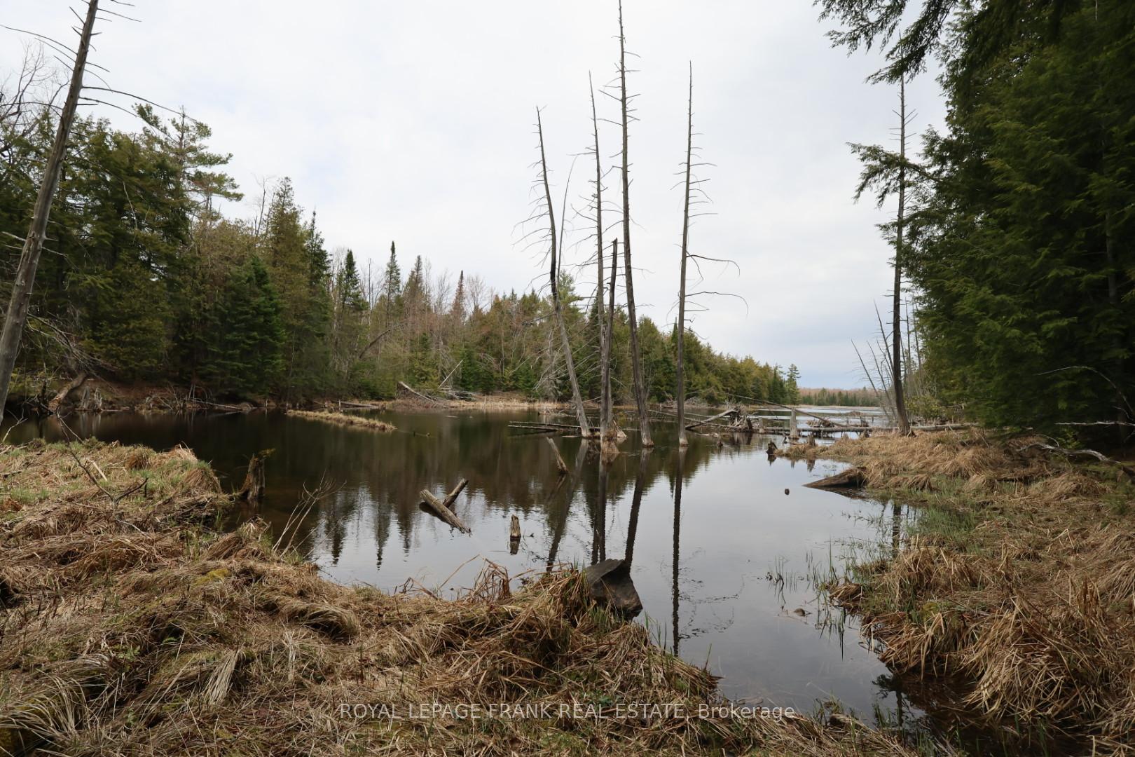 Photo 43 of 165 County Rd 507, Trent Lakes — HOMEH