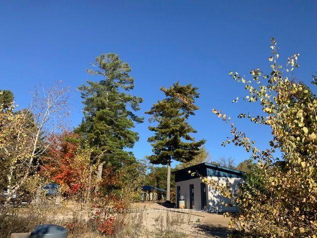 Photo 29 of 44 Tall Pines Drive NW, Tiny, Rural Tiny — HOMEH