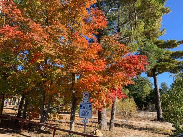 Photo 36 of 44 Tall Pines Drive NW, Tiny, Rural Tiny — HOMEH