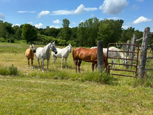 Photo 21 of 224 Christiani Road, Quinte West, Murray Ward — HOMEH