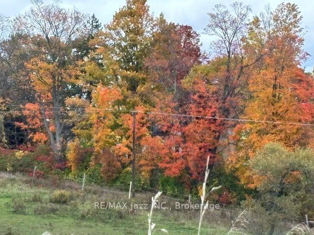 Photo 25 of 224 Christiani Road, Quinte West, Murray Ward — HOMEH
