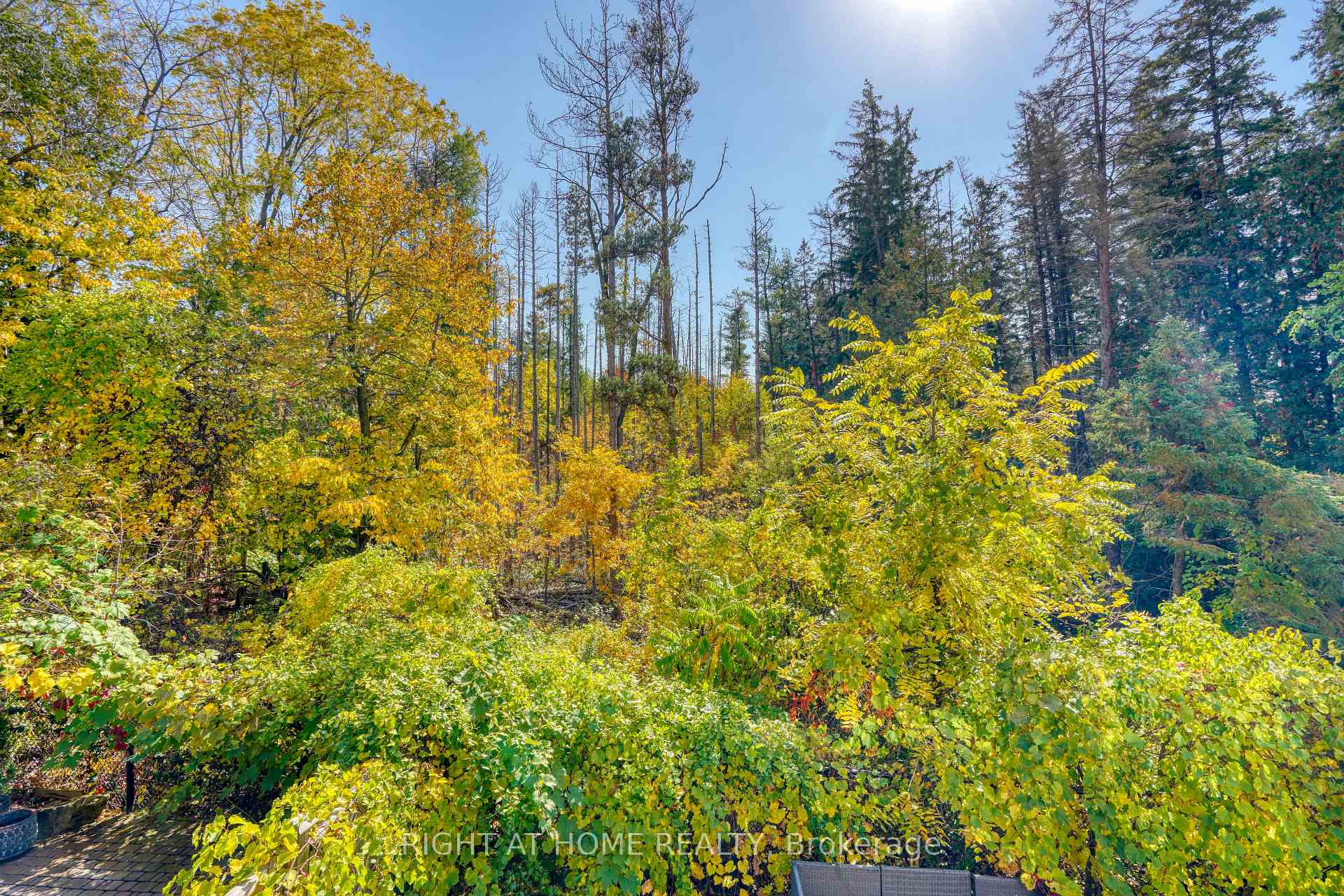 Photo 48 of 171 Maurier Boulevard, Vaughan, Patterson — HOMEH