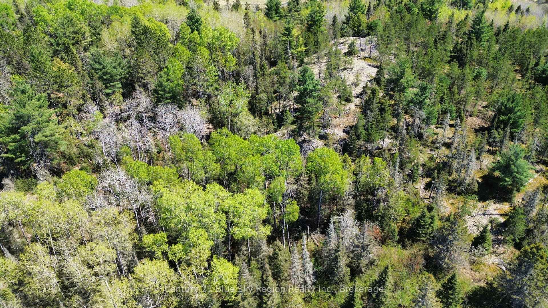 Photo 2 of 114 De La Montee Road, West Nipissing, River Valley — HOMEH
