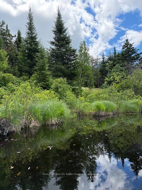 Photo 12 of 114 De La Montee Road, West Nipissing, River Valley — HOMEH