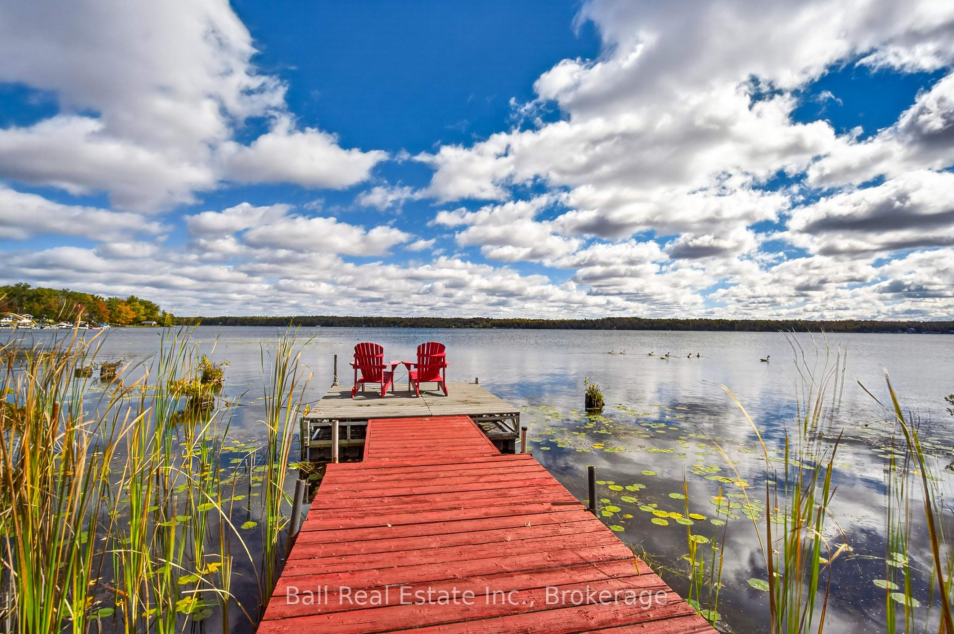 Photo 44 of 18 Fire Route 26B, Trent Lakes — HOMEH