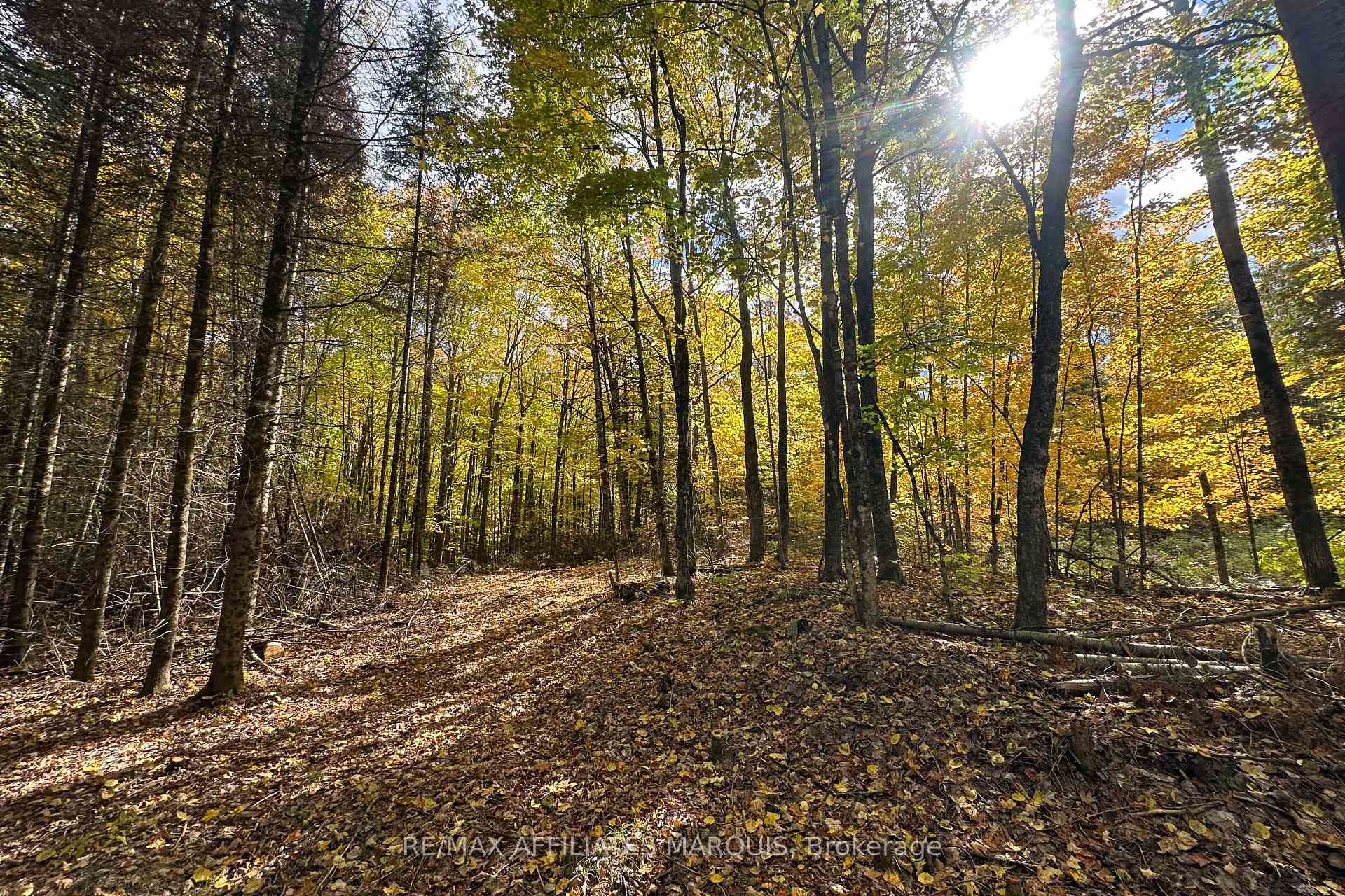 Photo 3 of 2093 Smith Road, North Frontenac, Frontenac North — HOMEH