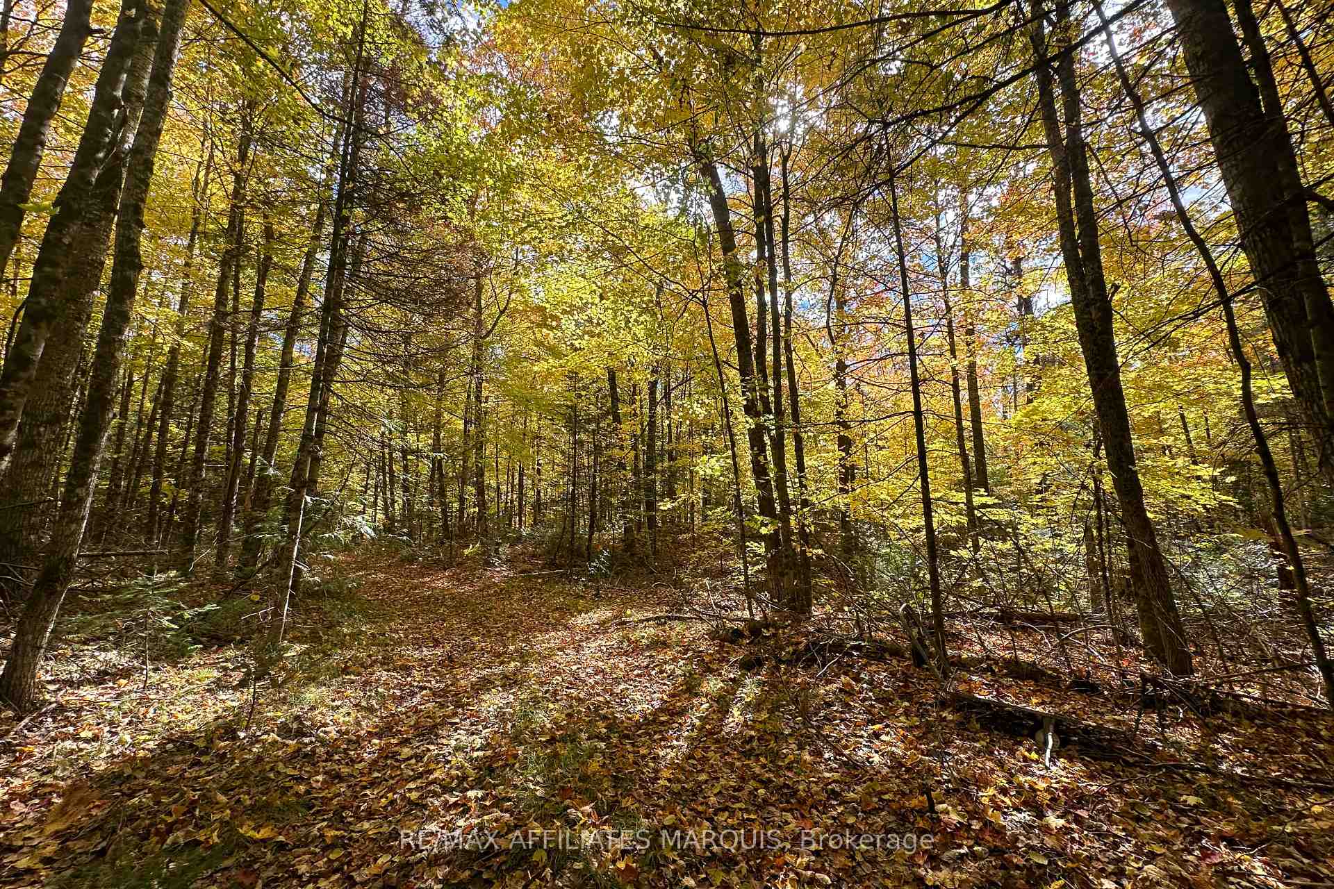 Photo 14 of 2093 Smith Road, North Frontenac, Frontenac North — HOMEH
