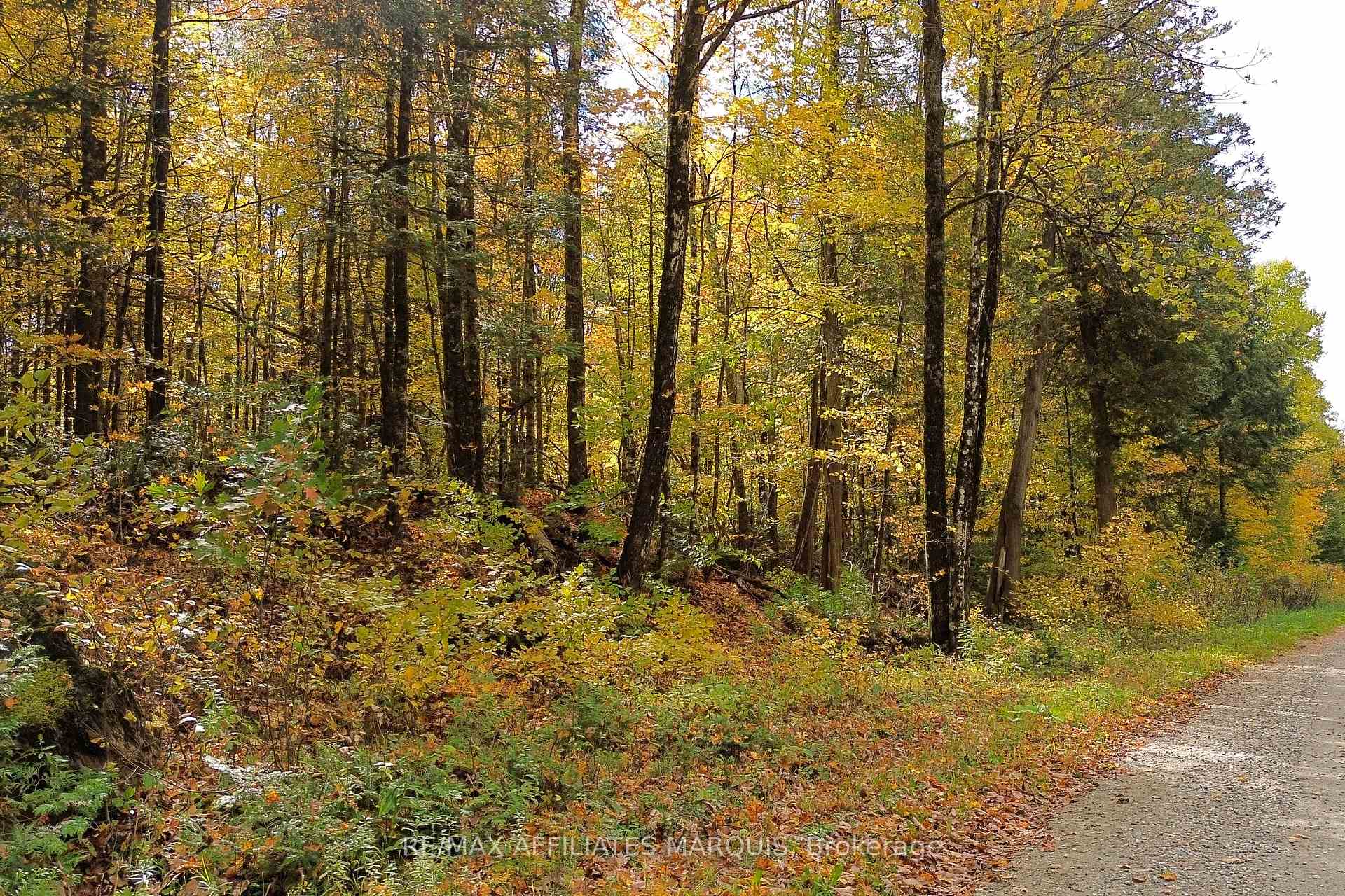 Photo 22 of 2093 Smith Road, North Frontenac, Frontenac North — HOMEH