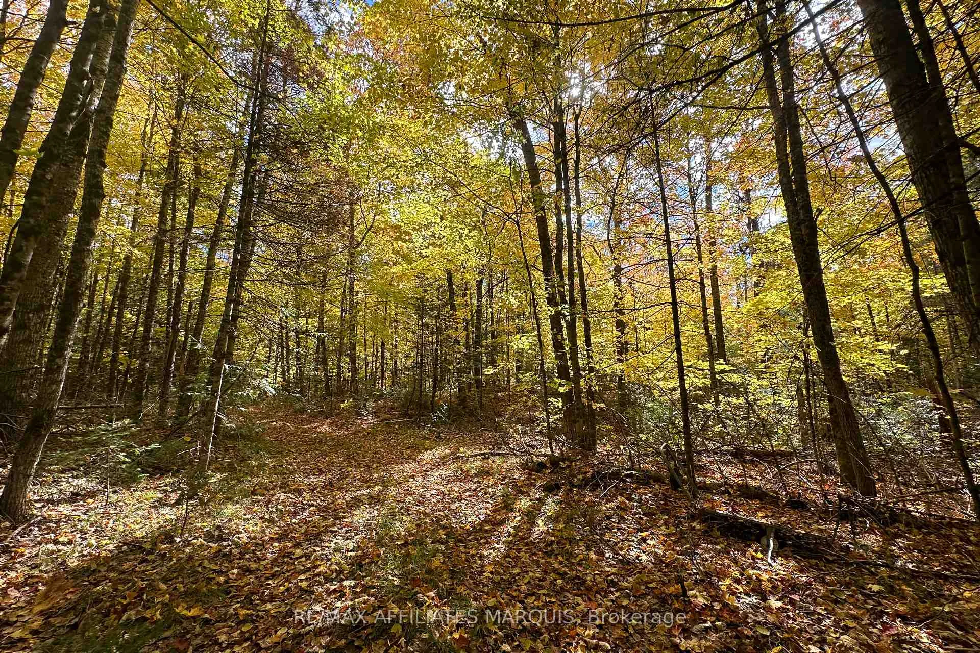 Photo 6 of 2093 Smith Road, North Frontenac, Frontenac North — HOMEH