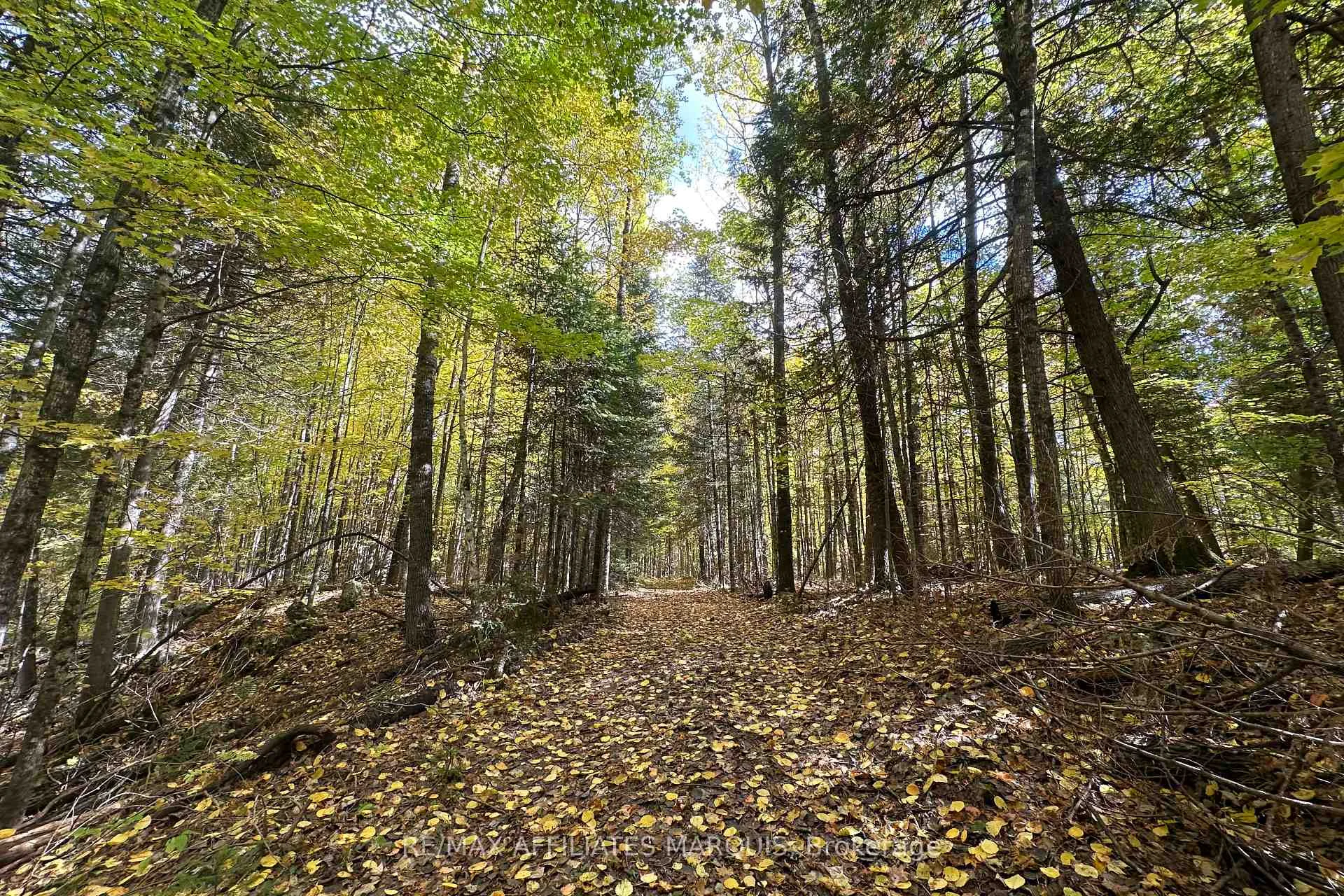 Photo 10 of 2093 Smith Road, North Frontenac, Frontenac North — HOMEH