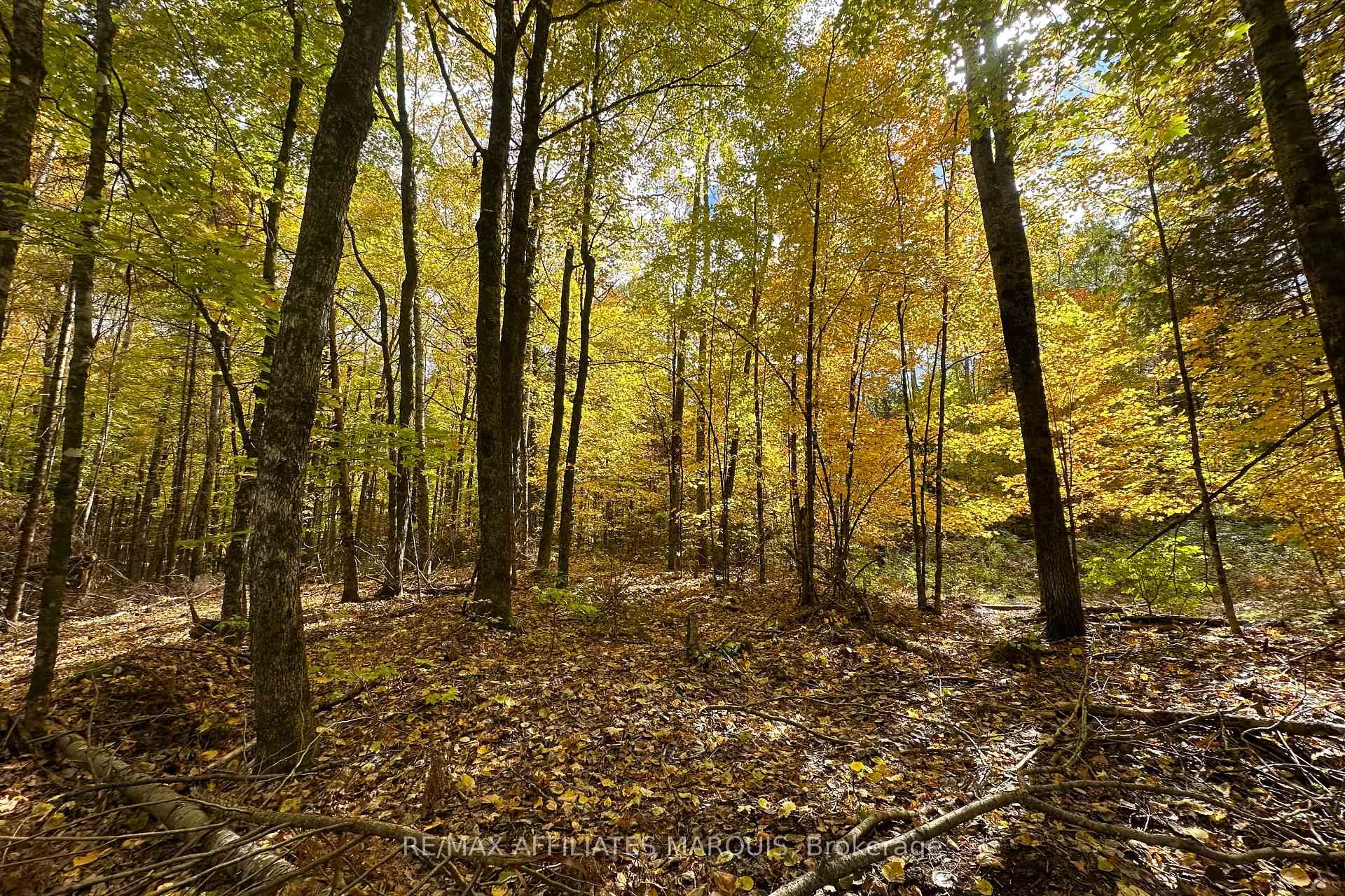 Photo 15 of 2093 Smith Road, North Frontenac, Frontenac North — HOMEH