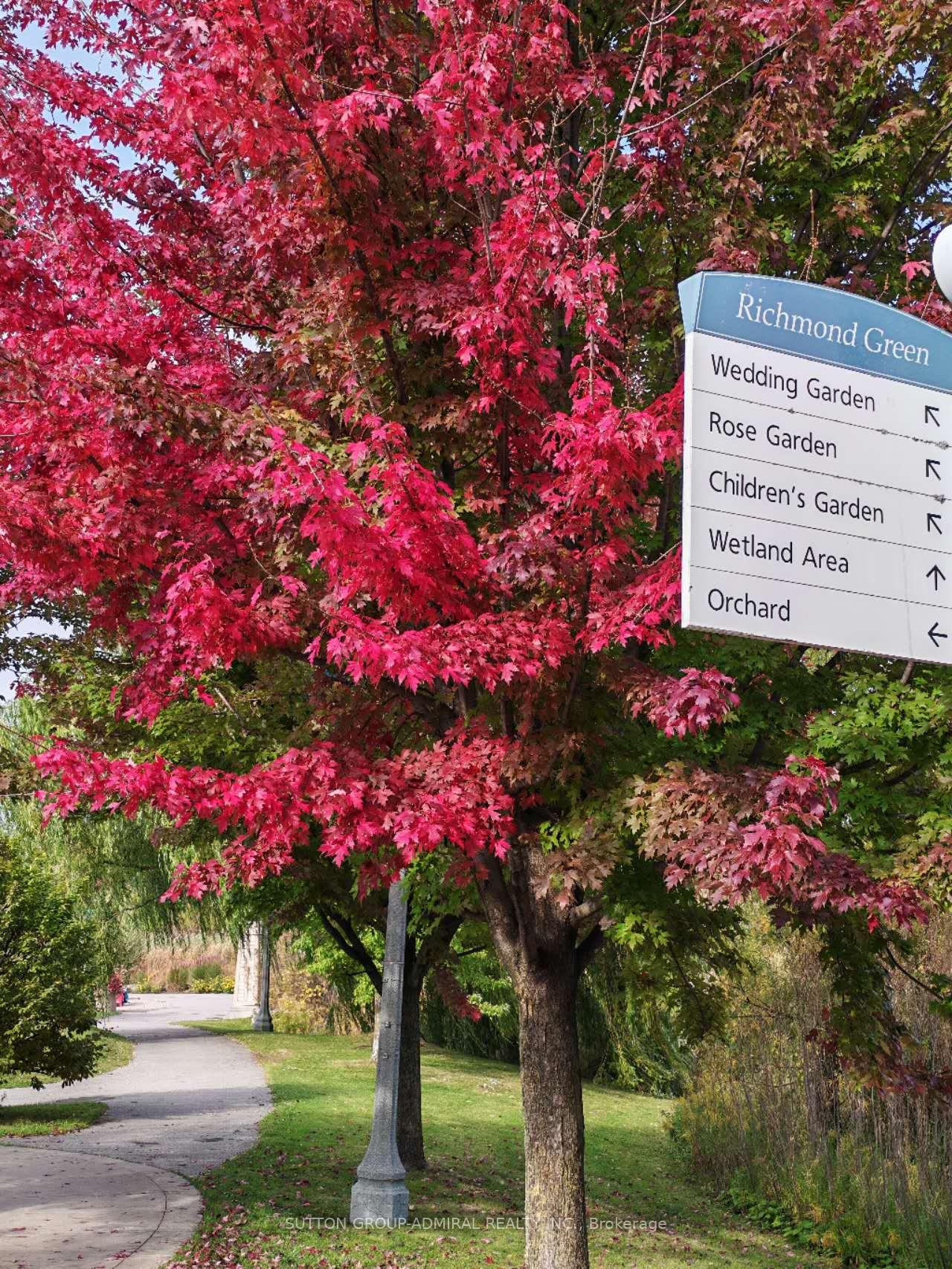 Photo 31 of 85 Casely Avenue, Richmond Hill, Rural Richmond Hill — HOMEH