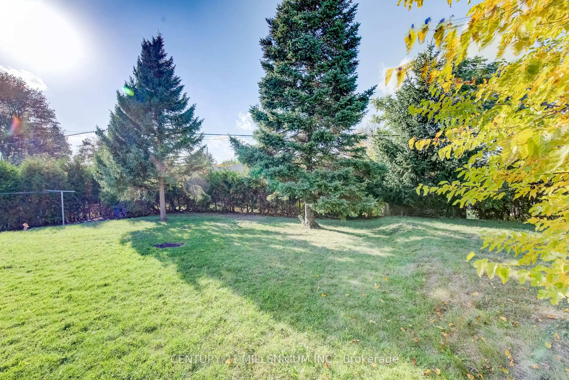 Photo 39 of 46 Traynor Avenue, Kitchener, Vanier - Kitchener — HOMEH
