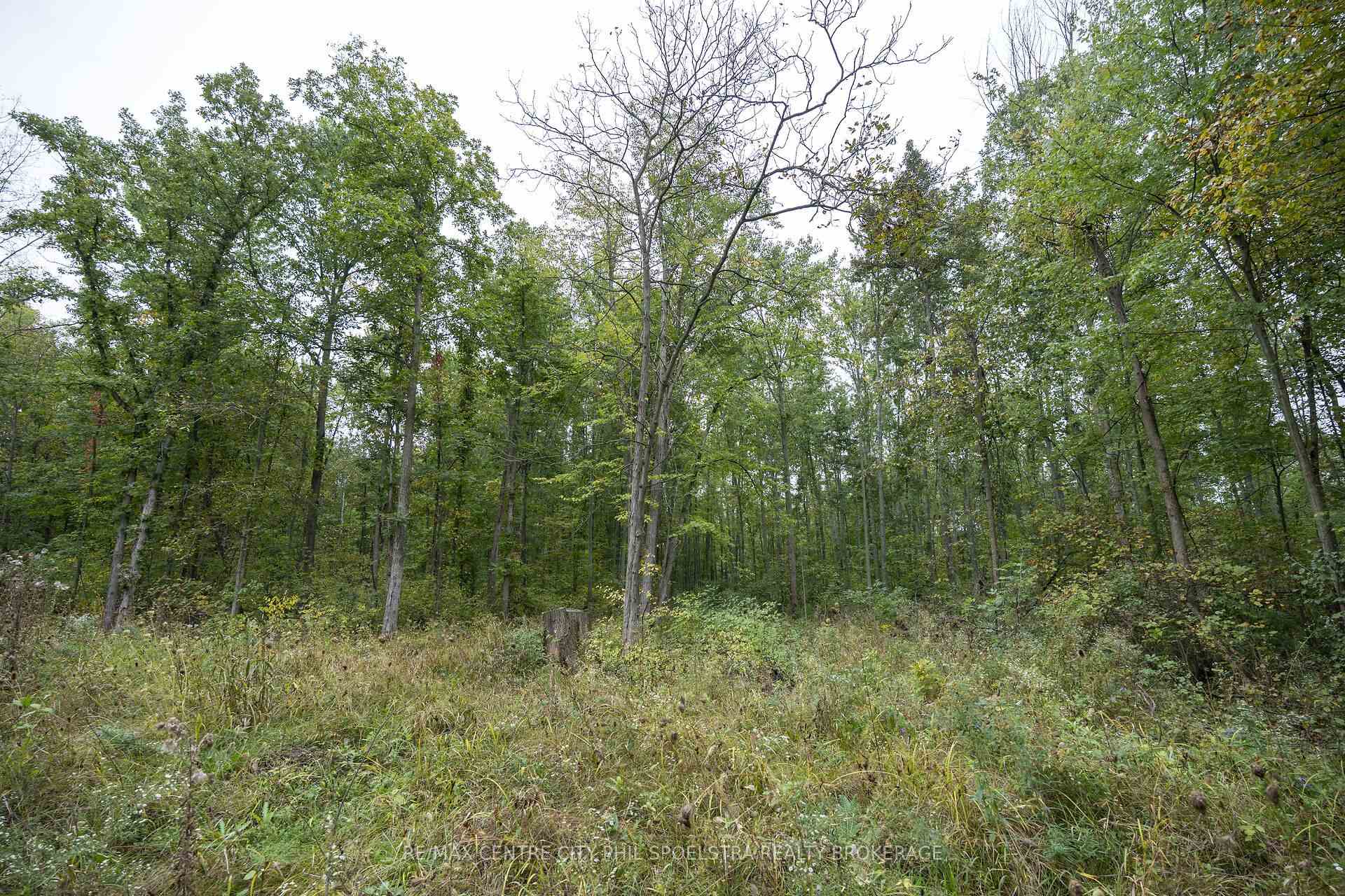 Photo 17 of LT 23-25 Con 10 Holt Line, St. Clair — HOMEH