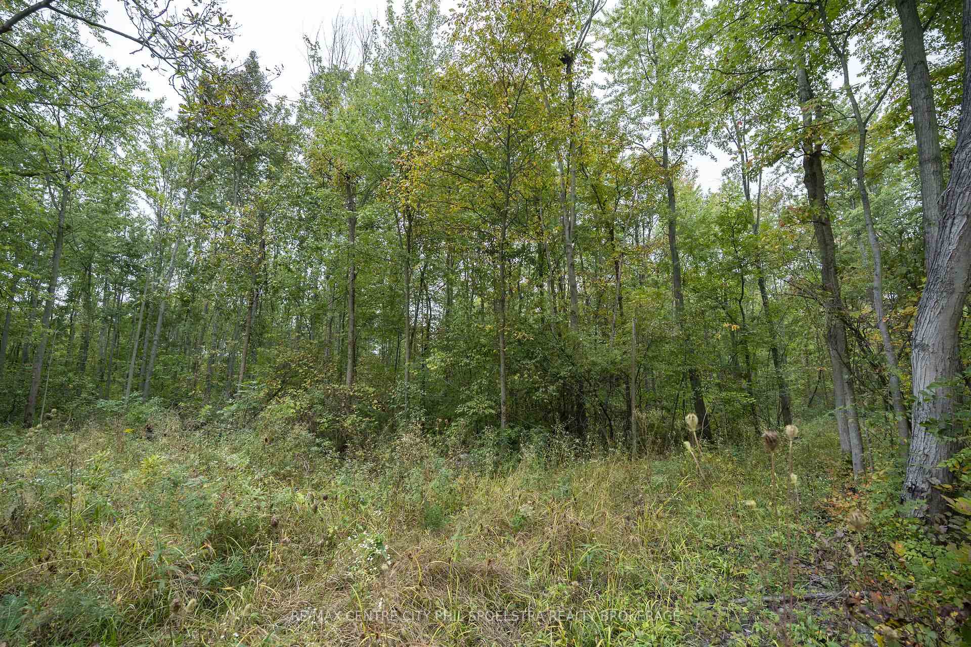 Photo 18 of LT 23-25 Con 10 Holt Line, St. Clair — HOMEH