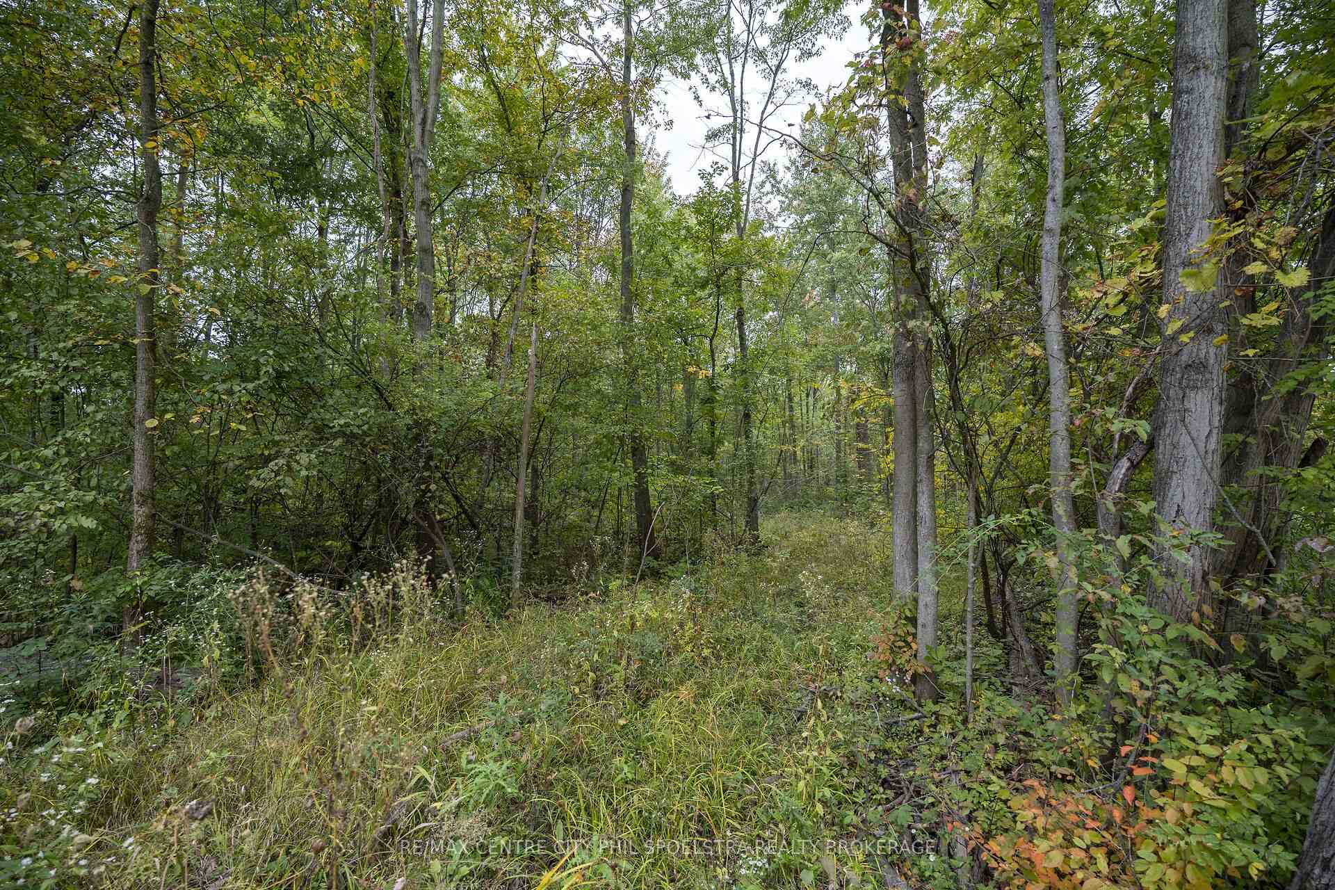 Photo 19 of LT 23-25 Con 10 Holt Line, St. Clair — HOMEH